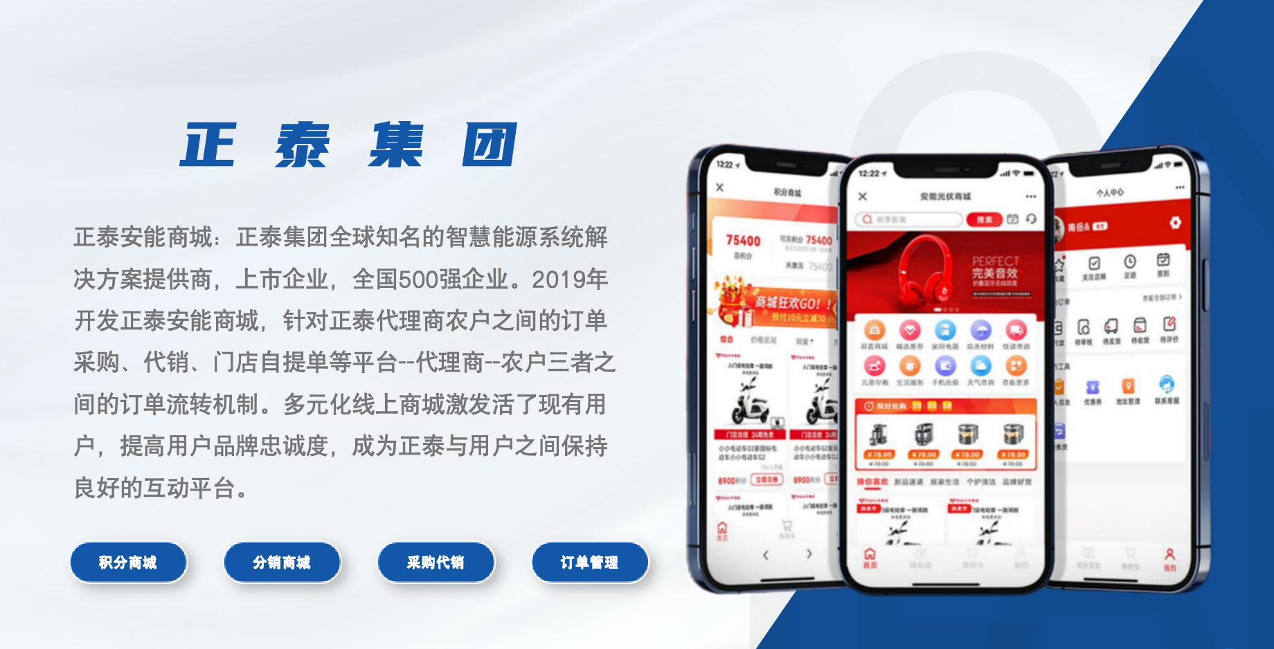 正泰集团 case screenshot